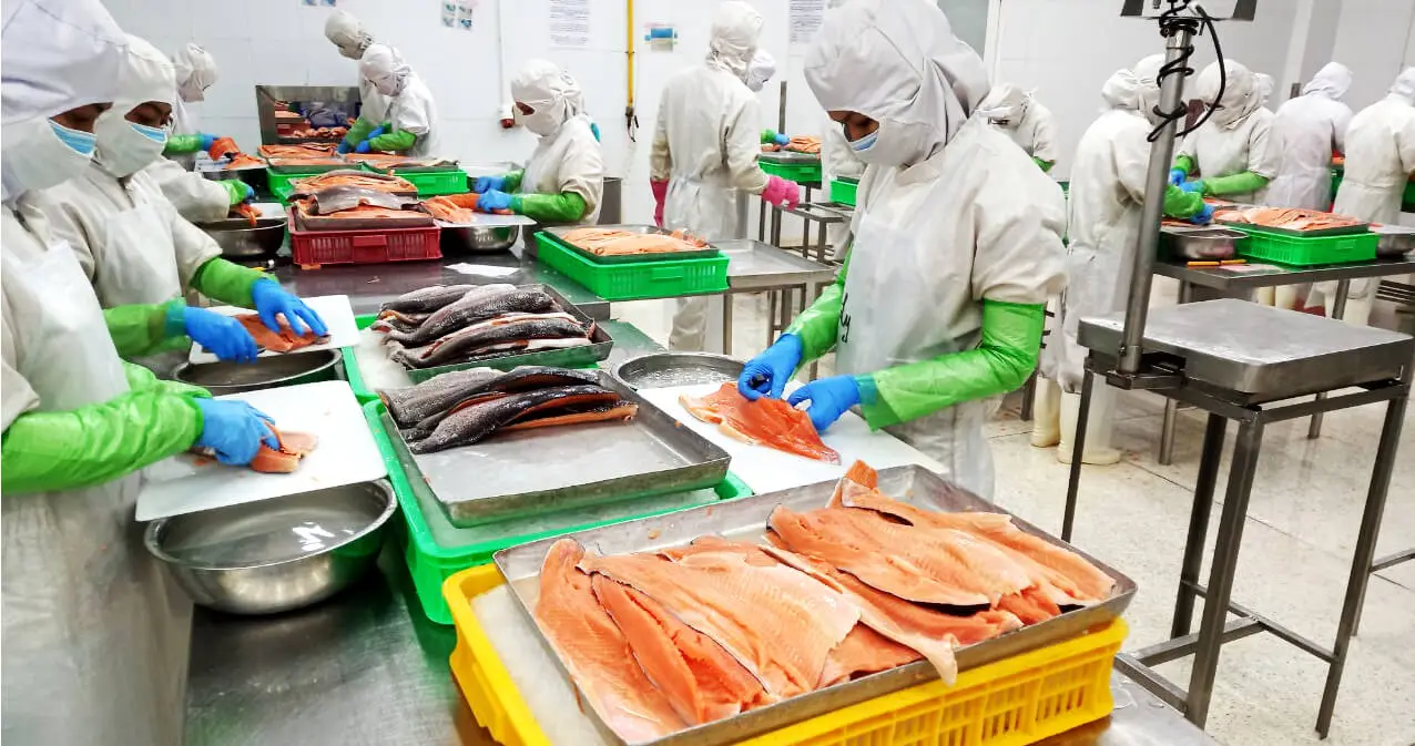Food processing production line